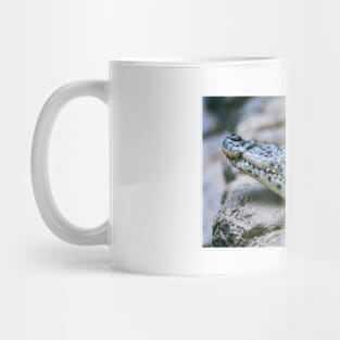 Young Crocodile Face Mug